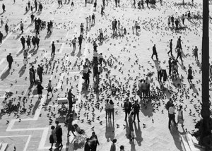 Kilátás a tömegre a Piazza San Marco-n, Velence, 1965 körül (f/w fotó) alkotó: Italian Photographer