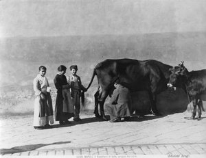 Tejárus, a Nápolyi életből alkotó: Italian Photographer Italian Photographer