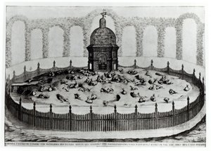 Nyúl madárházzal kismadaraknak, a Le Fabbriche e i Giardini dellEcc-től. Casa Barbariga, D. Rossetti, metszett G. Campana, megjelent 1702 alkotó: Italian School