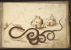 Hozzáadás. 82955, f.242 Egy kígyó (