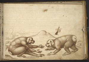 Hozzáadás. 82955, f.244 Kutyaszerű lények verekednek ("Cinocephalus")., a Historia Animaliumból alkotó: Italian School
