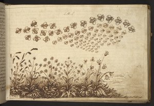 Hozzáadás. 82955, f.64 Méhek (