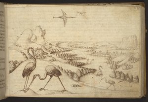 Hozzáadás. 82955, f.93 Gémek (