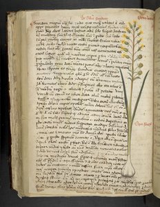 Adja hozzá az MS 41623 f.119v 