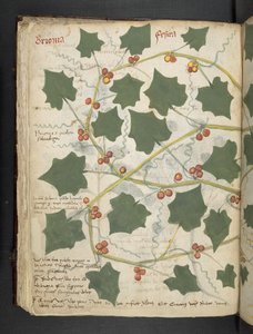 Adja hozzá az MS 41623 f.53v 