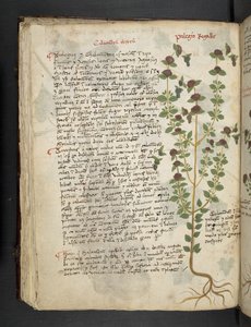 Adja hozzá az MS 41623 f.54v 