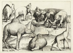 Állatfestmények az ókori Rómából, táblázat, 3., kocsma. Antonio Lafrere 1528 alkotó: Italian School