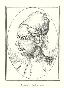 Antonio Pollajuolo (metszet) alkotó: Italian School