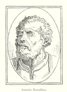 Antonio Rossellino (metszet) alkotó: Italian School