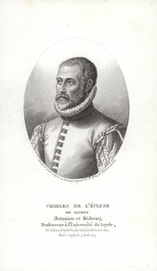 Carolus Clusius alkotó: Italian School