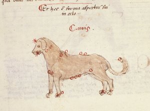 A kutya (Canis) csillagképe. Miniatűr Biasino da Parma (Blaise de Parma) „” Astronomica” című művéből (1425-1457) alkotó: Italian School