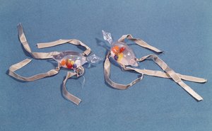 A firenzei Museo di Storia della Scienza két orvosi hőmérőjének másolata (üveg és szalag)