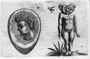 Különböző típusú emberi szörnyek: egy fosszilis ember és egy szörny. Metszet Fortunio Norsi (1577-1656) olasz tudós "A szörnyek természete, okaik és különbségeik" című könyvéből. 1646 alkotó: Italian School