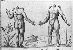 Különböző típusú emberi szörnyek: egy ember fej nélkül. Metszet Fortunio Norsi (1577-1656) olasz tudós "A szörnyek természete, okaik és különbségeik" című könyvéből. 1646 alkotó: Italian School