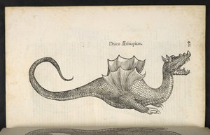 Etióp sárkány, „Kígyó és sárkány története második könyv”, Bologna, Ulisse Aldrovandi alkotó: Italian School