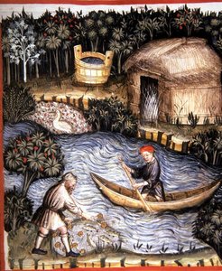 Fol.82r Friss hal, illusztráció a "Tacuinum Santiatis Codex Vindobonensis"-ből (pergamen) alkotó: Italian School