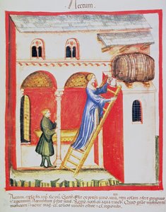 Fol.85v Ecet, illusztráció a Tacuinum Santiatis Codex Vindobonensisből alkotó: Italian School