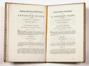 A luccai Instituto Elisa általános szabályzata, kiadva Luccában, 1811. július 14-én (nyomtatott) alkotó: Italian School