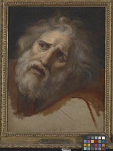 Head Of Laocoon (olaj, vászon) alkotó: Italian School