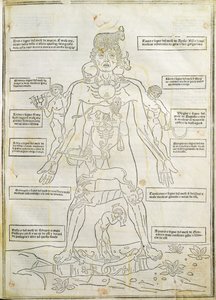 Illusztráció a "Fassiculus Medicinae" Velencéből alkotó: Italian School