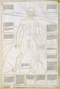 Illusztráció a "Fassiculus Medicinae" Velencéből alkotó: Italian School