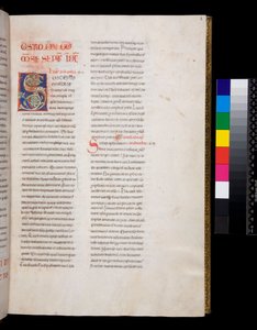 Ms 143. Nagy Gergely, Registrum Epistolarum, f.8r. Díszített iniciál [S] fehér szőlőlevél betéttel és végződésekkel alkotó: Italian School