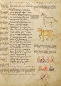 Ms Italien 87. fol.171 Asztrológiai jeleket illusztráló oldal, a „De Civitate Dei, San Agostino”-ból (vellum) alkotó: Italian School