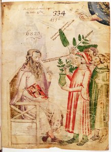 Ms Lat 6823 fol.1 Férfiak, akik növényeket mutatnak be egy ismeretlen férfinak, a De Herbisből, Manfredus de Monte Imperiali alkotó: Italian School