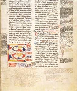 Ms. McClean 135, f.96r: részlet egy növényforma történetbe írt C kezdőbetűjéről a Gratians Decretumból, 12. század vége alkotó: Italian School