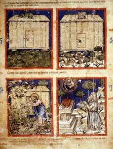 Noé bárkája, miniatűr a 212-es kódexből (vagy Padovano kódexből vagy Páduai Bibliából) 1390-1400 Rovigo, Accademia dei Concordi alkotó: Italian School