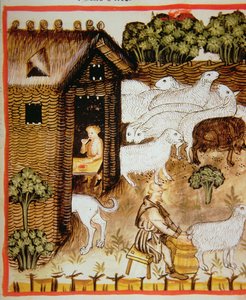 Nova 2644 fol.59r Juhtenyésztés: édes tej, Tacuinum Sanitatis alkotó: Italian School