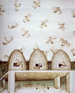 Nova 2644 fol.94v Beehves, a Tacuinum Sanitatis cégtől alkotó: Italian School