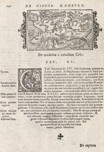 740. oldal az Észak története című művéből, Magnus Olaus, Róma, 1565 (nyomtatás és metszet) alkotó: Italian School