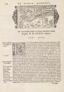 742. oldal az Északi Gentivus története című könyvéből, Magnus Olaus, Róma, 1565 (nyomtatás és metszet) alkotó: Italian School