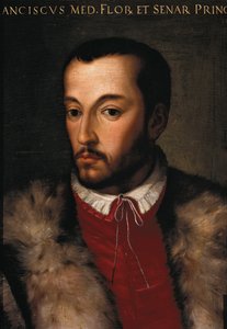 I. Francesco portréja, Medici alkotó: Italian School