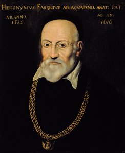 Hieronymus Fabricius portréja