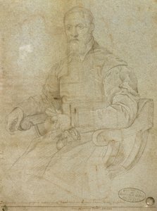 Tizianus portréja (Tiziano Vecellio) (kb. 1485-1576) Római iskola (szén papíron) alkotó: Italian School