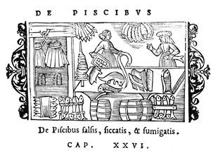 Hal sózása, szárítása és füstölése, illusztrációja Olaus Magnus (1490-1558) Historia de Gentibus Septentrionalibus című könyvéből, megjelent Rómában, 1555 alkotó: Italian School