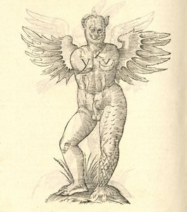 egy szárnyas szörny illusztrációja az Aldrovandis History of Monsters-ből, 1642 alkotó: Italian School