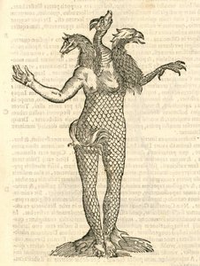 egy háromfejű szörnyeteg illusztrációja róka, sárkány és sas fejével az Aldrovandis History of Monsters című könyvéből, 1642 alkotó: Italian School