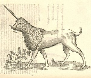 egy camphurch illusztrációja az Aldrovandis History of Monsters-ből, 1642 alkotó: Italian School