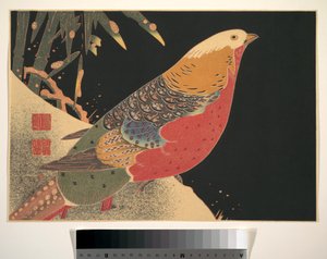 Aranyfácán a hóban, 1900 körül (fametszet, tinta és szín, papír) alkotó: Ito Jakuchu