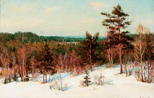 Tél – kilátás az erdőre alkotó: Ivan Fedorovich Choultse