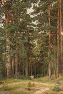 Egy nyári nap, Merikiul, 1895 alkotó: Ivan Ivanovich Shishkin