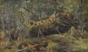 Ágazatok. Tanulmány alkotó: Ivan Ivanovich Shishkin