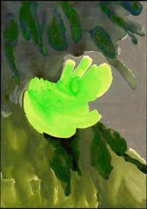 Kensington Gardens sorozat: Leaf Cascade, 2007 (vegyes média papíron)