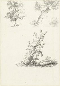 Két tanulmány egy fáról és egy bogáncsról alkotó: J.B. Joss (attributed to)
