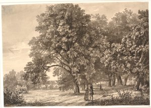 Kilátás egy útra egy erdőben Sorø közelében, Zélandon alkotó: Johan Christian Dahl