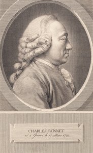 Charles Bonnet alkotó: J.F. Clemens