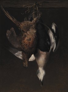 Játszma, meccs. Fácán és Eider